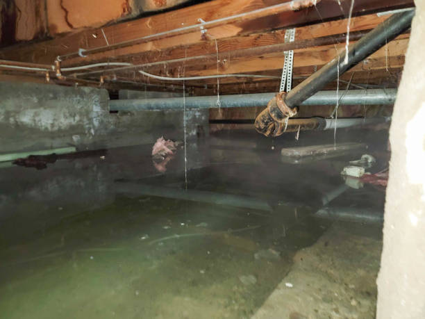 Best Water damage restoration near me  in Warr Acres, OK