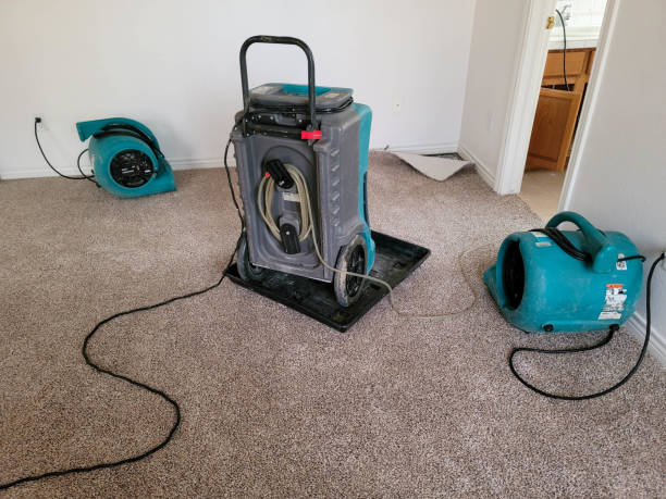 Best Basement water damage restoration  in Warr Acres, OK