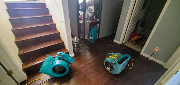Water damage restoration mold remediation in Warr Acres, OK