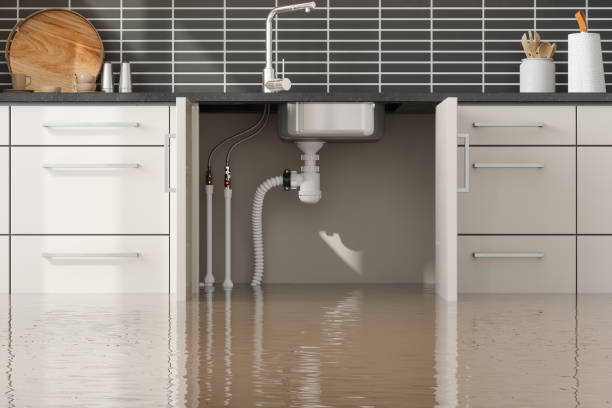 Best Mold removal after water damage  in Warr Acres, OK